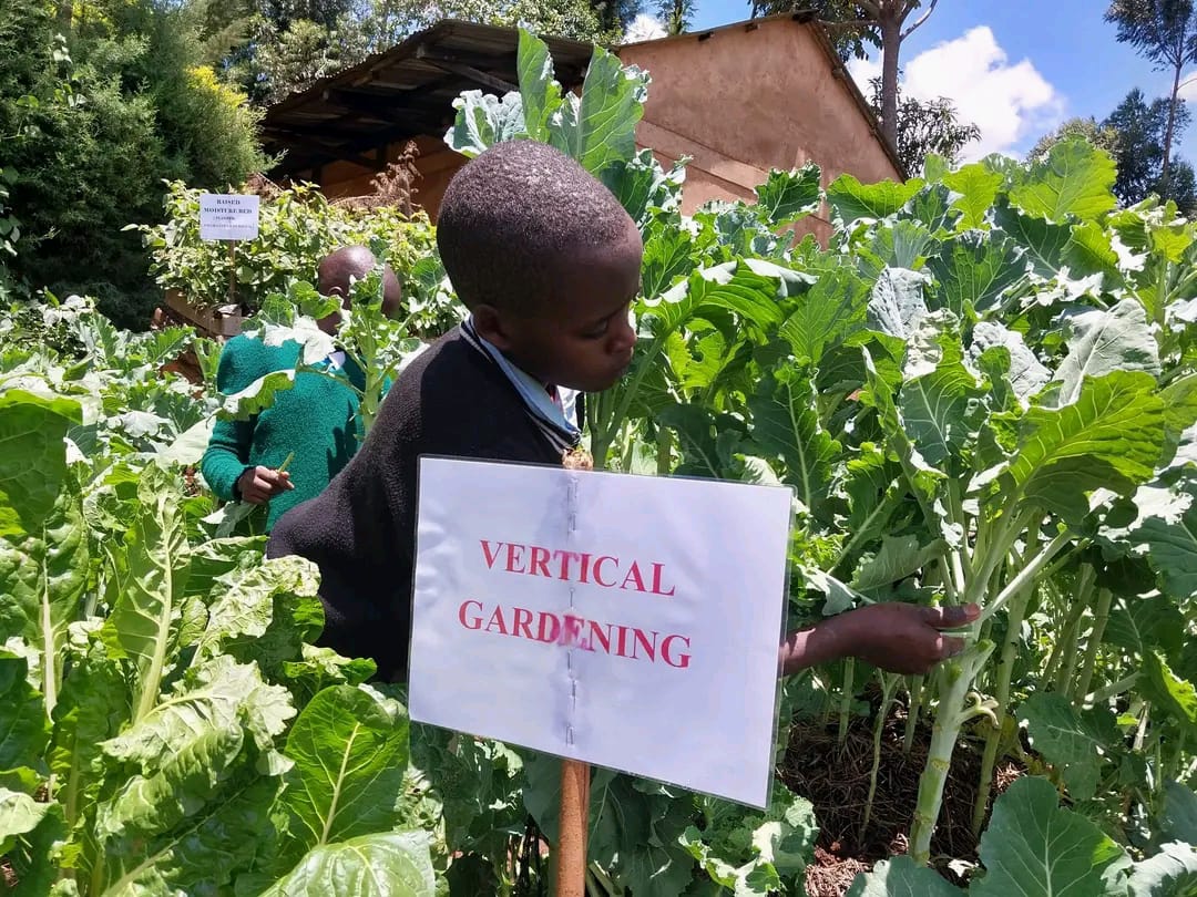 ART Resilience Centers — community learning hub, demonstration farm, farmers in training session